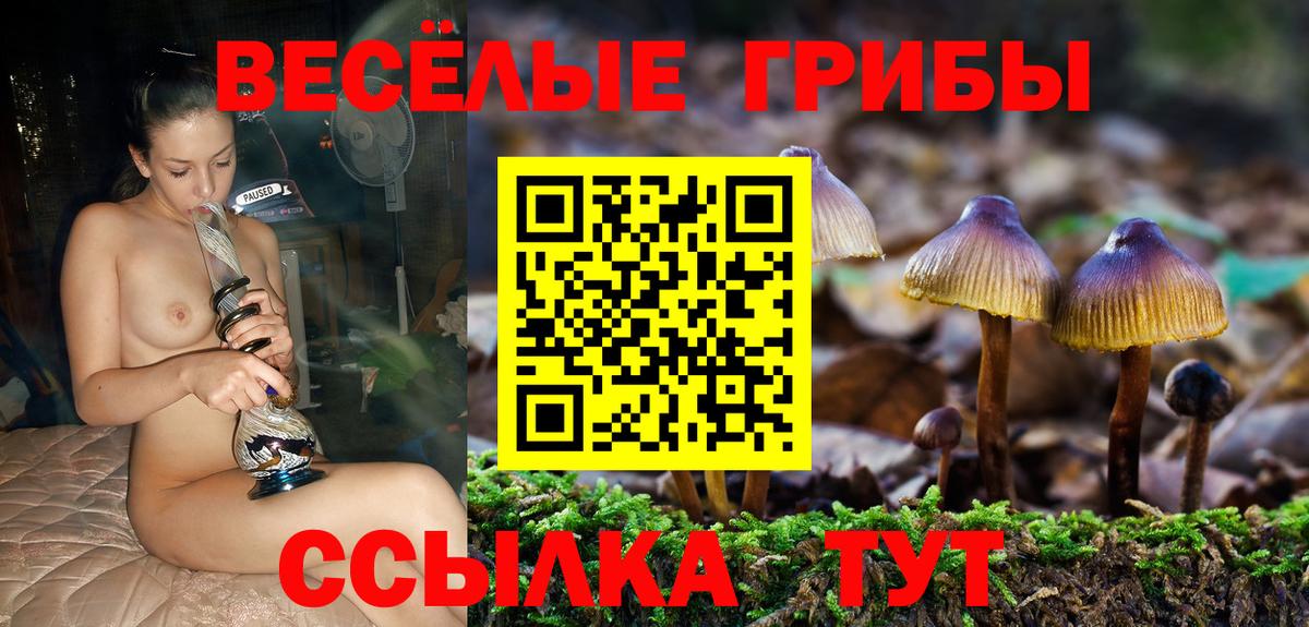 Псилоцибиновые грибы Cubensis  Вход с VPN  Хасавюрт 