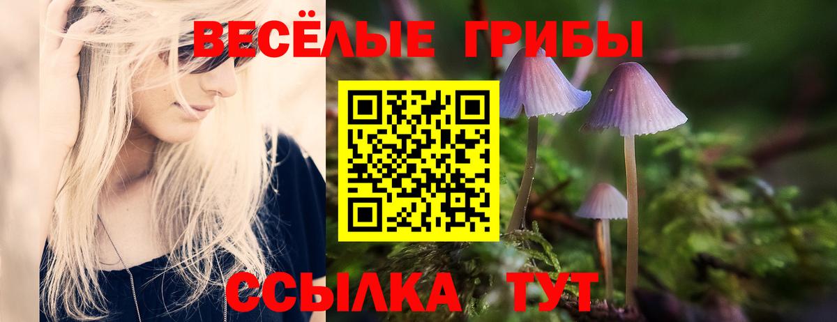 Галлюциногенные грибы GOLDEN TEACHER Хасавюрт